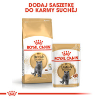 ROYAL CANIN British Shorthair Adult 12x85g 