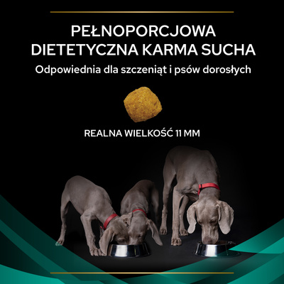 PURINA Pro Plan Veterinary Diets EN Gastrointestinal 2x12kg