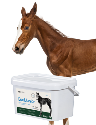 Lab-v EquiJunior - Aanvullend diervoeder voor veulens ter ondersteuning van de groei, ontwikkeling en juiste voeding van jonge paarden en pony's 2kg