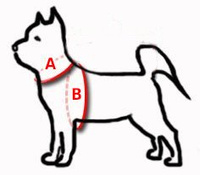 DINGO reflecterend harnas met Reflex 50 tape zwart