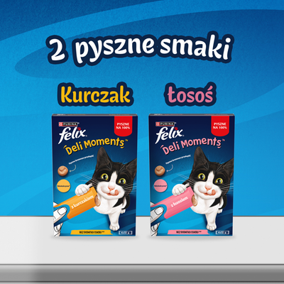 Felix Deli Moments Romige kattensnacks met zalm 4x10g