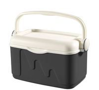 Curver 10l Toeristen Koelkast