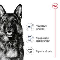 ROYAL CANIN Maxi Adult 15kg